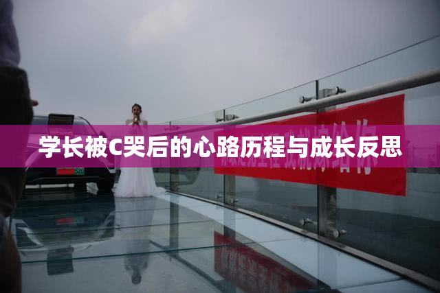 学长被C哭后的心路历程与成长反思