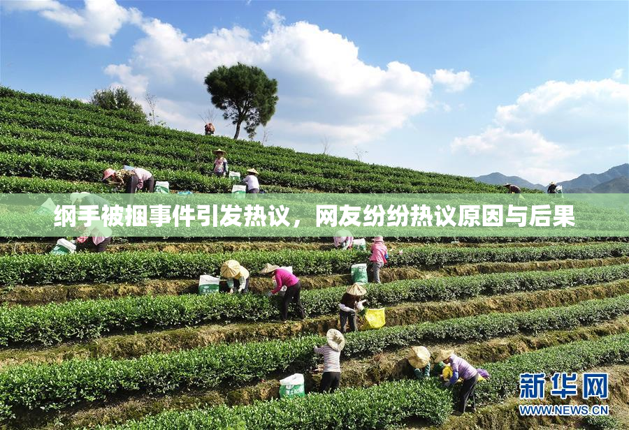 纲手被捆事件引发热议，网友纷纷热议原因与后果