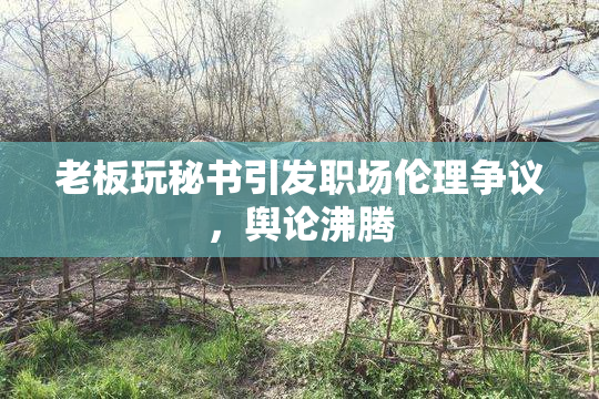 老板玩秘书引发职场伦理争议，舆论沸腾