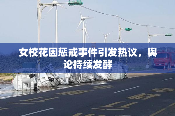 女校花因惩戒事件引发热议，舆论持续发酵