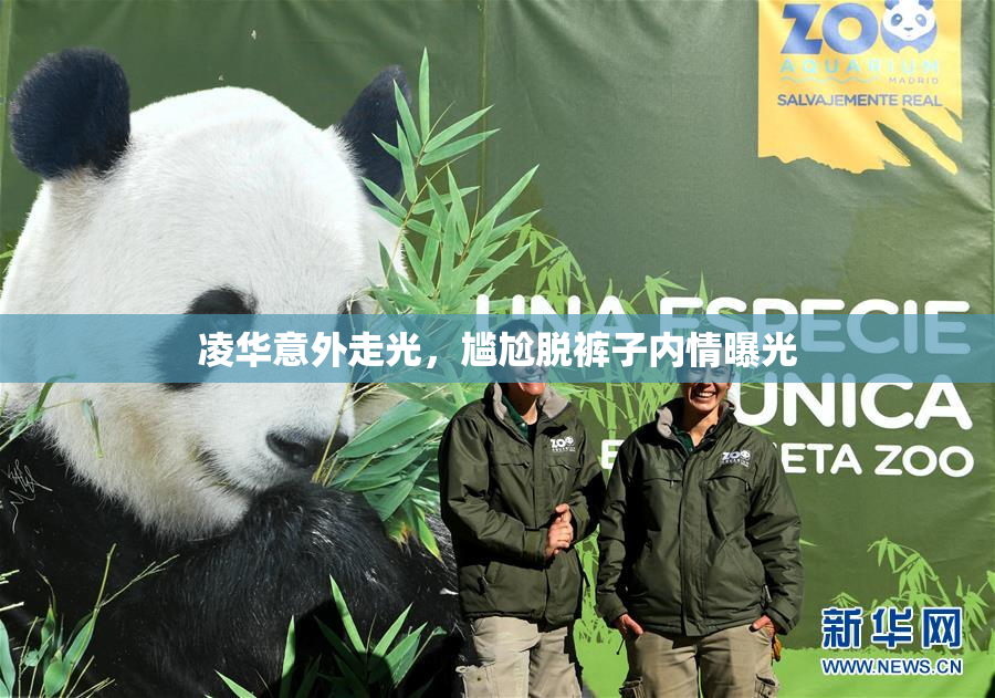 凌华意外走光，尴尬脱裤子内情曝光