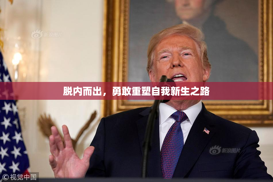 脱内而出，勇敢重塑自我新生之路