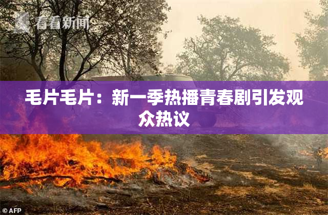 毛片毛片：新一季热播青春剧引发观众热议