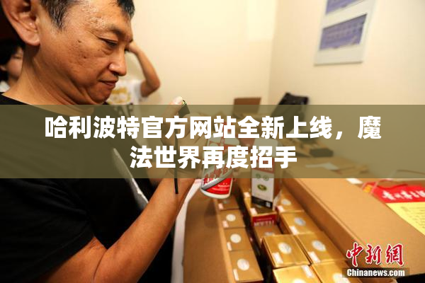 哈利波特官方网站全新上线，魔法世界再度招手