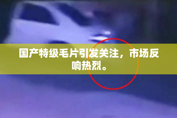 国产特级毛片引发关注，市场反响热烈。