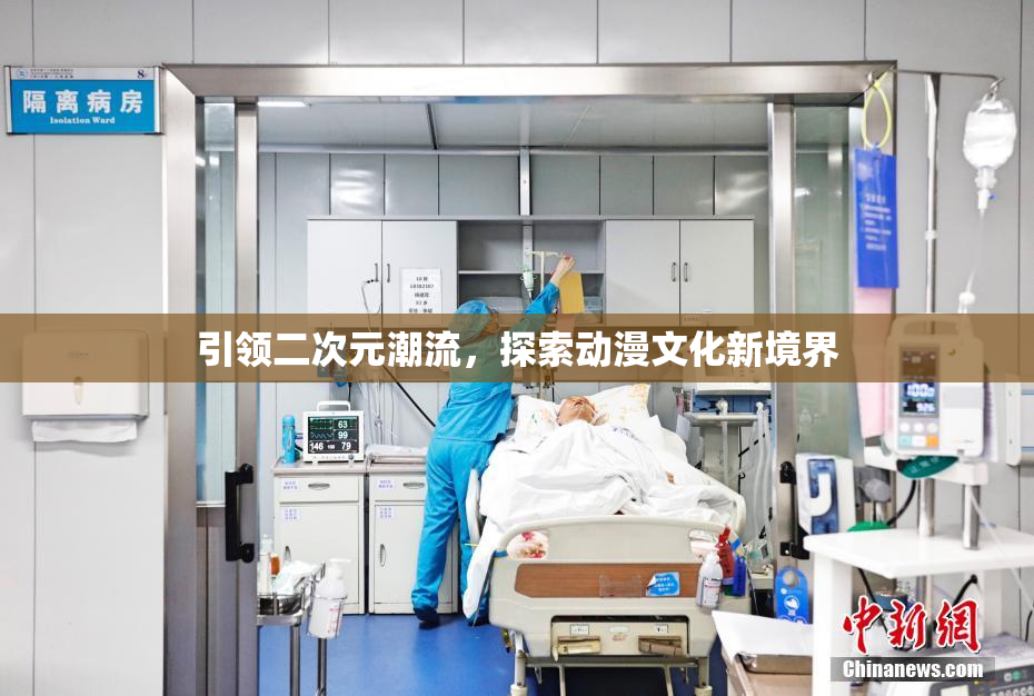 引领二次元潮流，探索动漫文化新境界