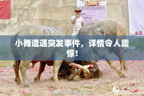 小舞遭遇突发事件，详情令人震惊！