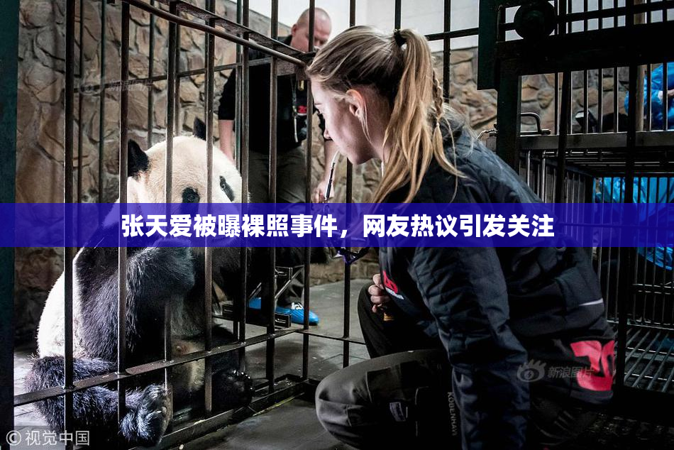张天爱被曝裸照事件，网友热议引发关注