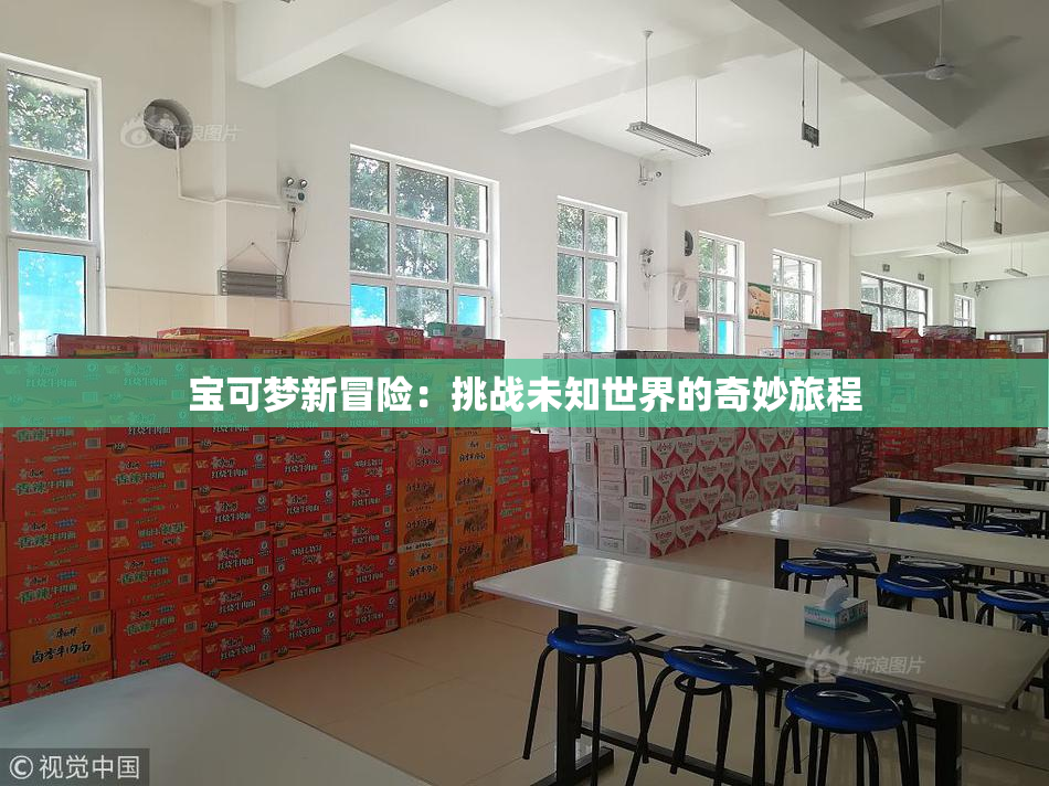 宝可梦新冒险：挑战未知世界的奇妙旅程