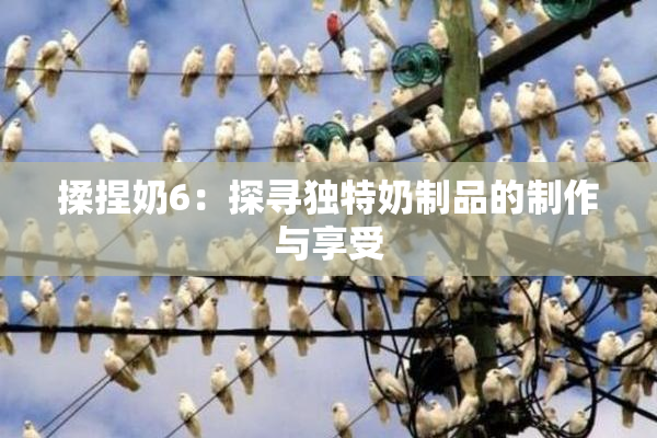 揉捏奶6：探寻独特奶制品的制作与享受