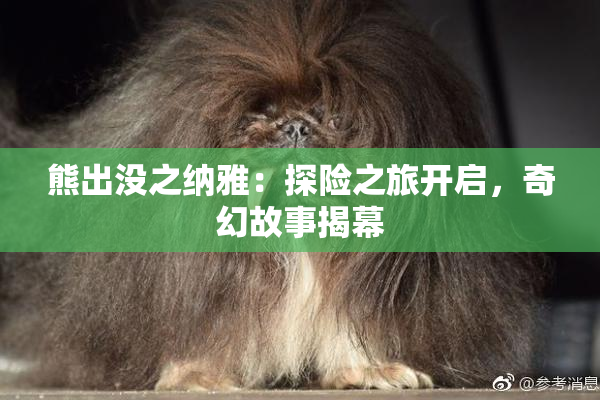 熊出没之纳雅：探险之旅开启，奇幻故事揭幕