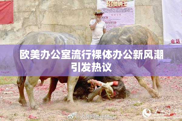 欧美办公室流行裸体办公新风潮引发热议