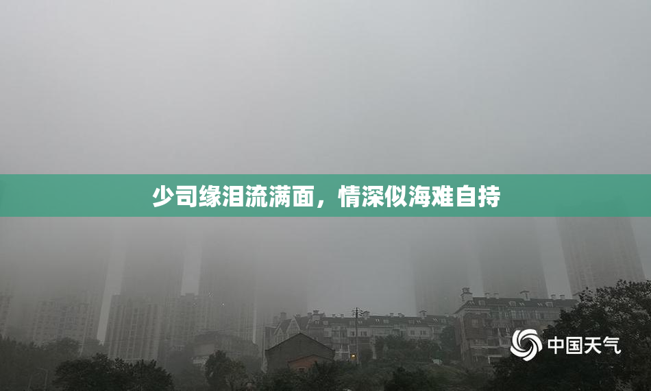 少司缘泪流满面，情深似海难自持