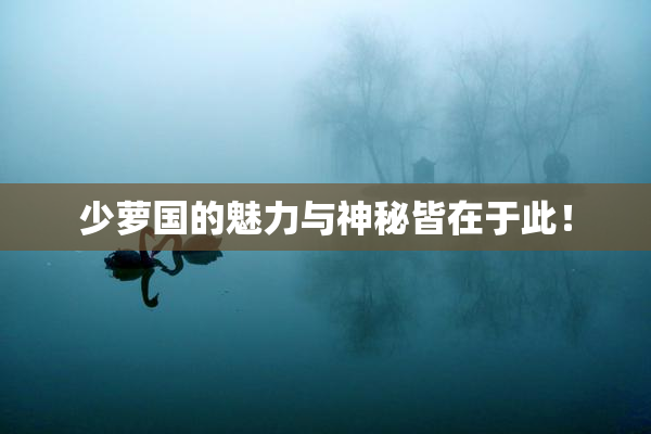 少萝国的魅力与神秘皆在于此！