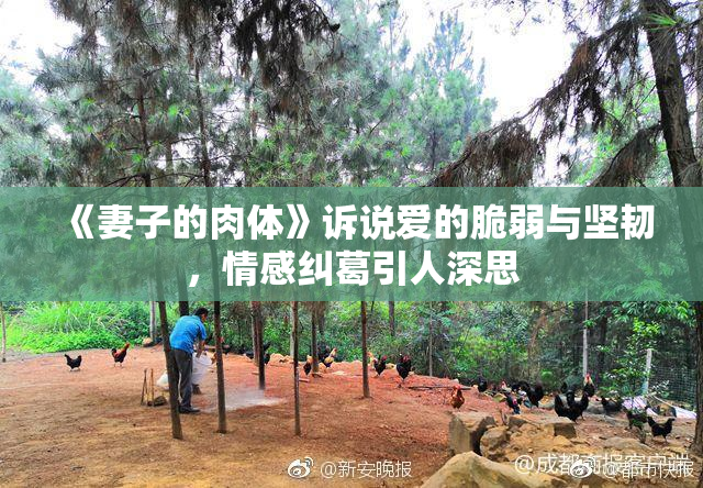 《妻子的肉体》诉说爱的脆弱与坚韧，情感纠葛引人深思