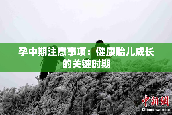 孕中期注意事项：健康胎儿成长的关键时期