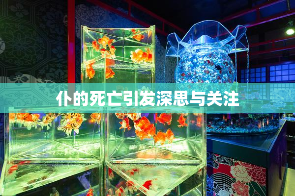 仆的死亡引发深思与关注