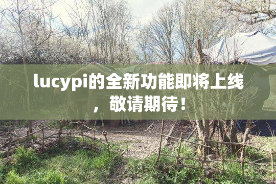 lucypi的全新功能即将上线，敬请期待！