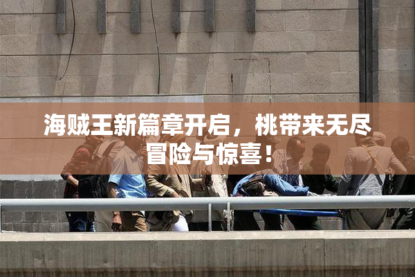 海贼王新篇章开启，桃带来无尽冒险与惊喜！