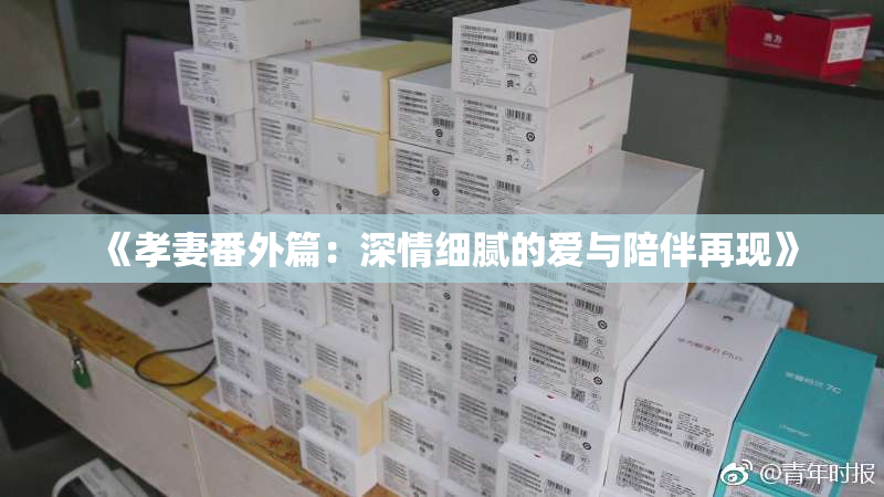 《孝妻番外篇：深情细腻的爱与陪伴再现》