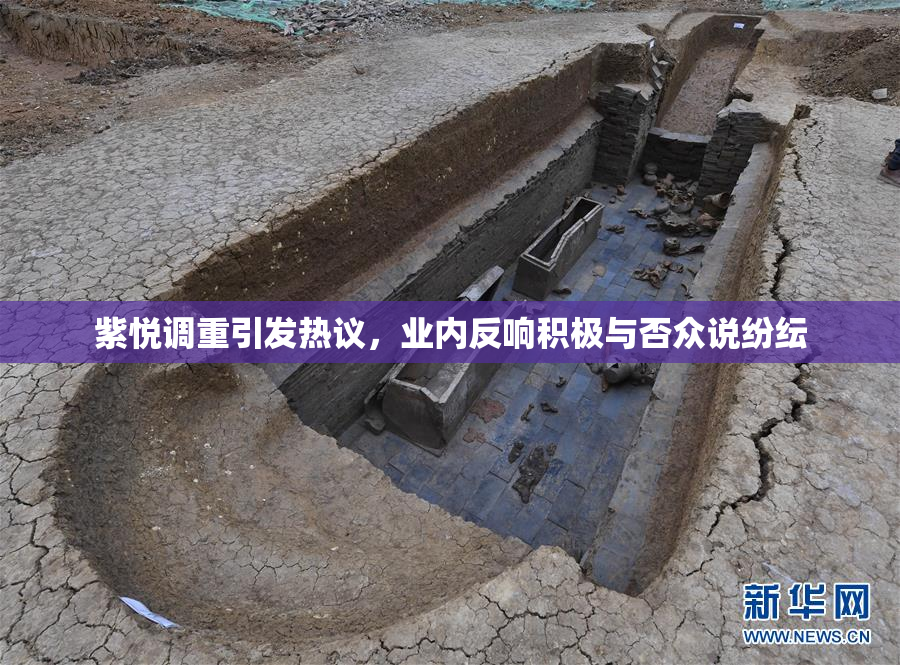 紫悦调重引发热议，业内反响积极与否众说纷纭