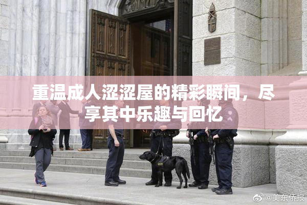 重温成人涩涩屋的精彩瞬间，尽享其中乐趣与回忆