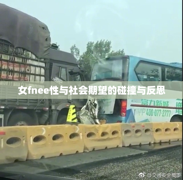 女fnee性与社会期望的碰撞与反思
