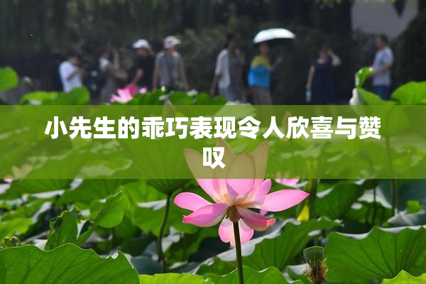 小先生的乖巧表现令人欣喜与赞叹