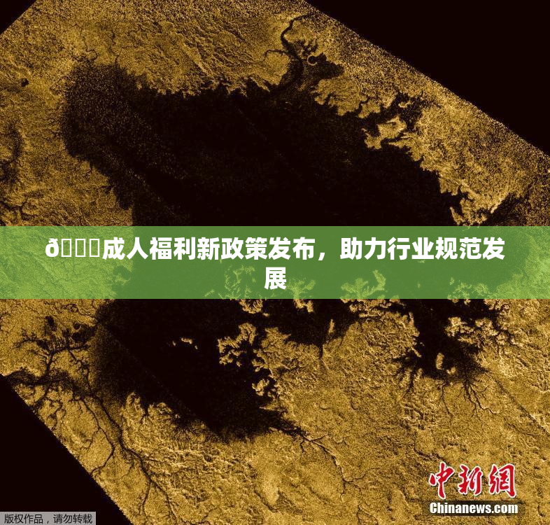 🔞成人福利新政策发布，助力行业规范发展