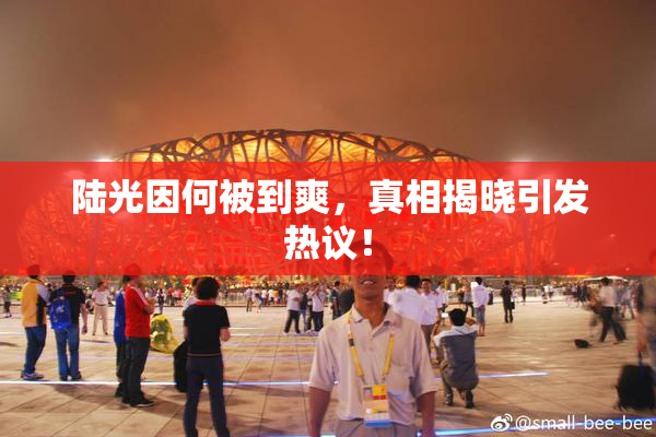 陆光因何被到爽，真相揭晓引发热议！