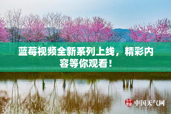 蓝莓视频全新系列上线，精彩内容等你观看！
