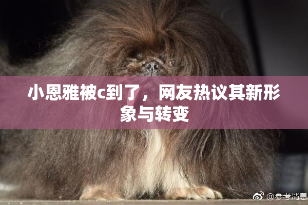 小恩雅被c到了，网友热议其新形象与转变