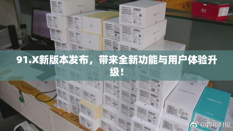 91.X新版本发布，带来全新功能与用户体验升级！