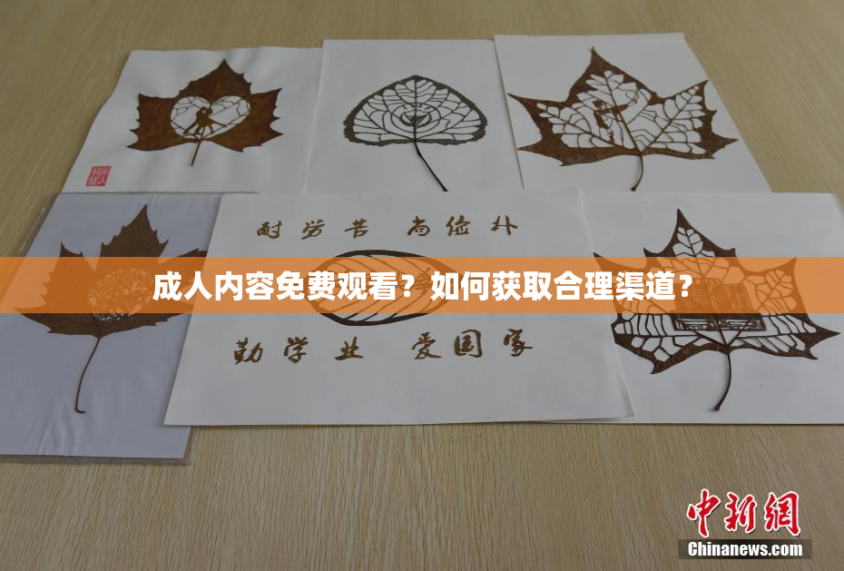 成人内容免费观看？如何获取合理渠道？