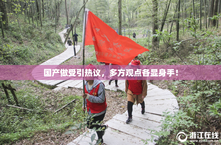 国产做受引热议，多方观点各显身手！