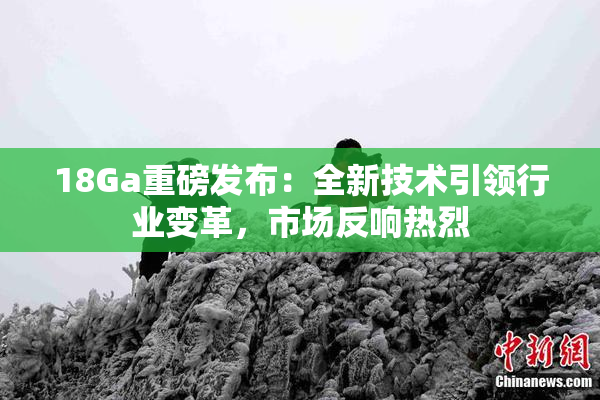18Ga重磅发布：全新技术引领行业变革，市场反响热烈