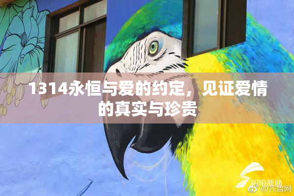 1314永恒与爱的约定，见证爱情的真实与珍贵
