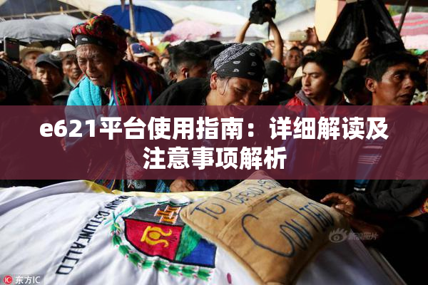 e621平台使用指南：详细解读及注意事项解析