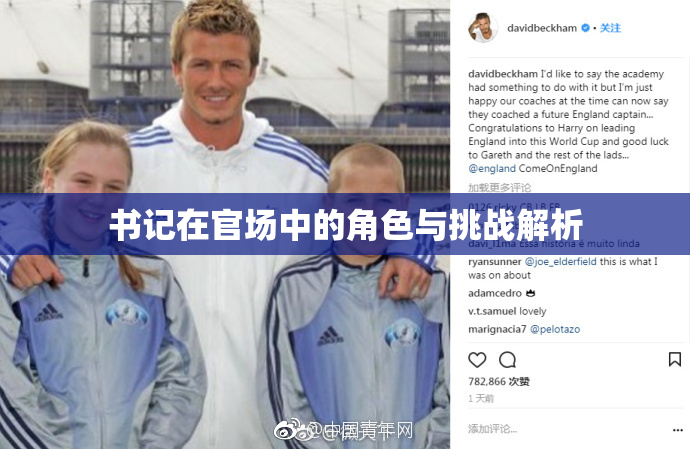 书记在官场中的角色与挑战解析