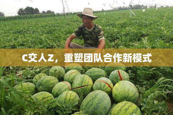 C交人Z，重塑团队合作新模式