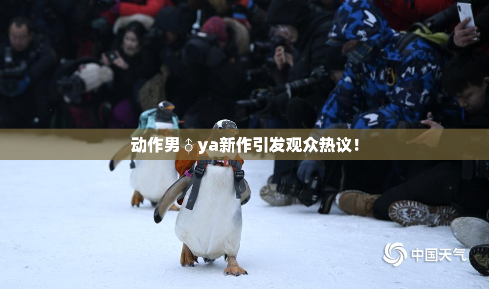 动作男♂ya新作引发观众热议！