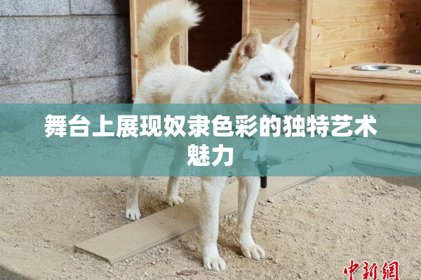 舞台上展现奴隶色彩的独特艺术魅力