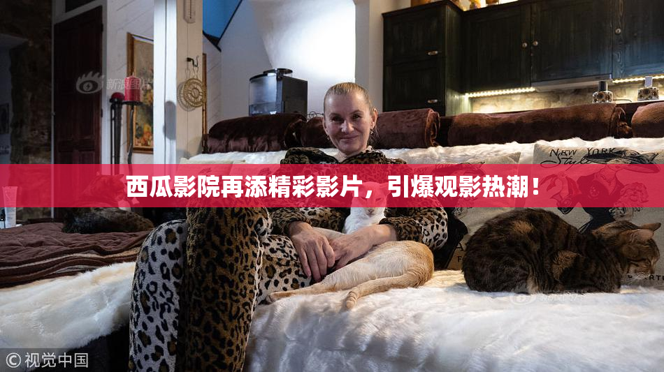 西瓜影院再添精彩影片，引爆观影热潮！
