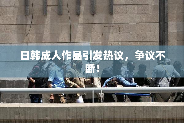 日韩成人作品引发热议，争议不断！