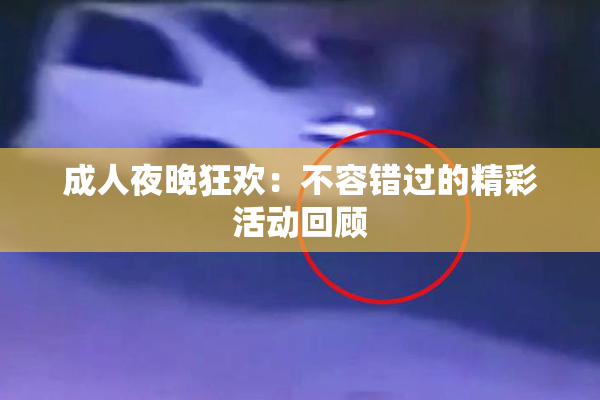 成人夜晚狂欢：不容错过的精彩活动回顾