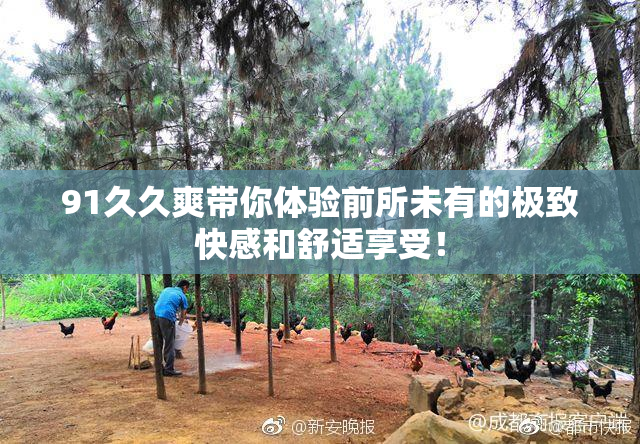 91久久爽带你体验前所未有的极致快感和舒适享受！