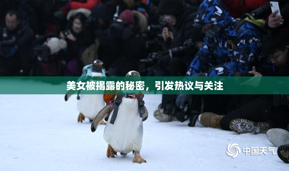 美女被揭露的秘密，引发热议与关注