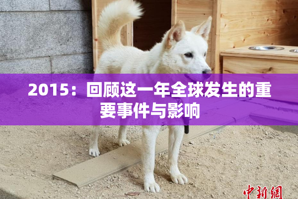2015：回顾这一年全球发生的重要事件与影响