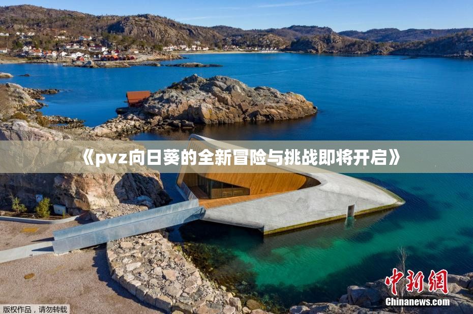 《pvz向日葵的全新冒险与挑战即将开启》