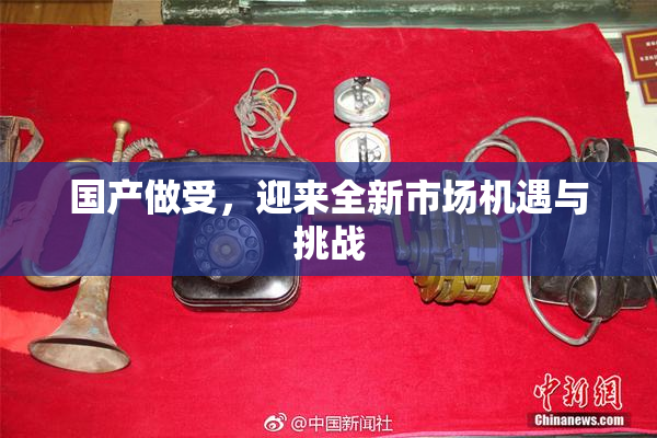 国产做受，迎来全新市场机遇与挑战